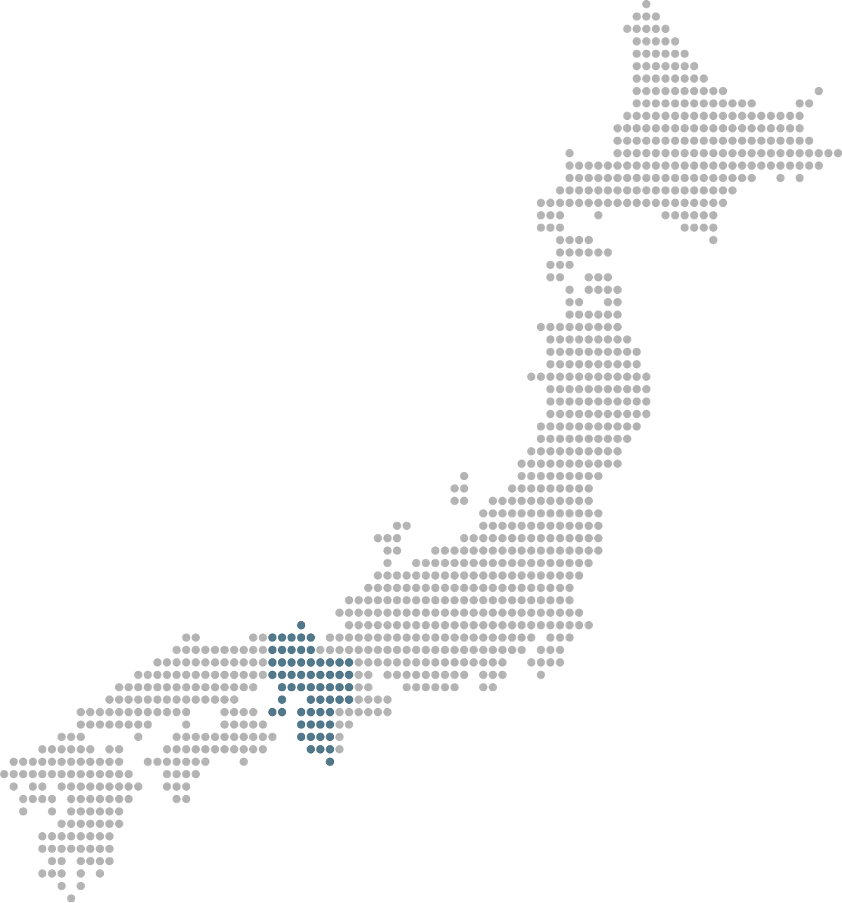 国内販売ネットワーク
