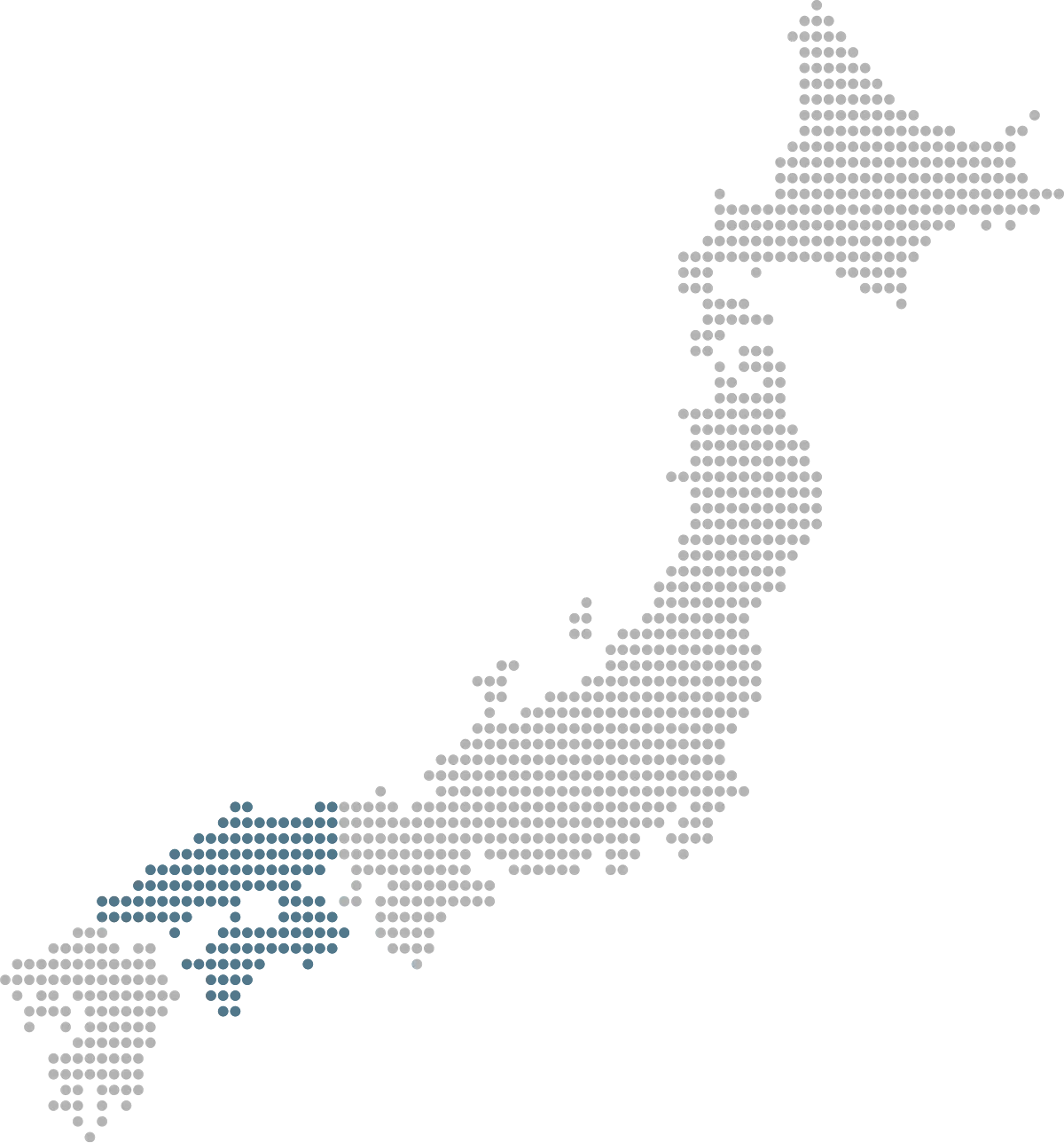 国内販売ネットワーク