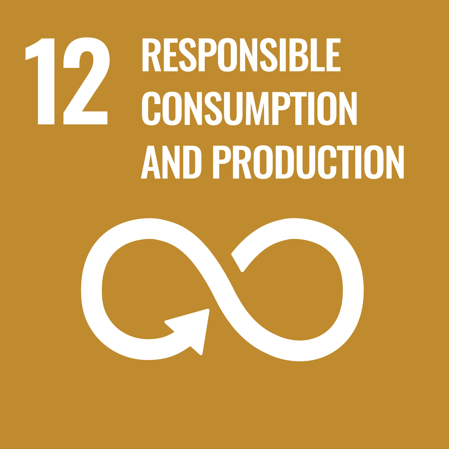 12.RESPONSIBLE CONSUMPTION AND PRODUCTION